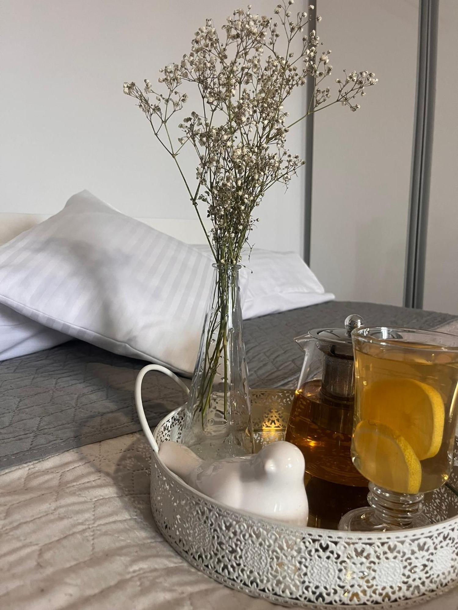 Apartament Na Starowce VII بيشتنا المظهر الخارجي الصورة