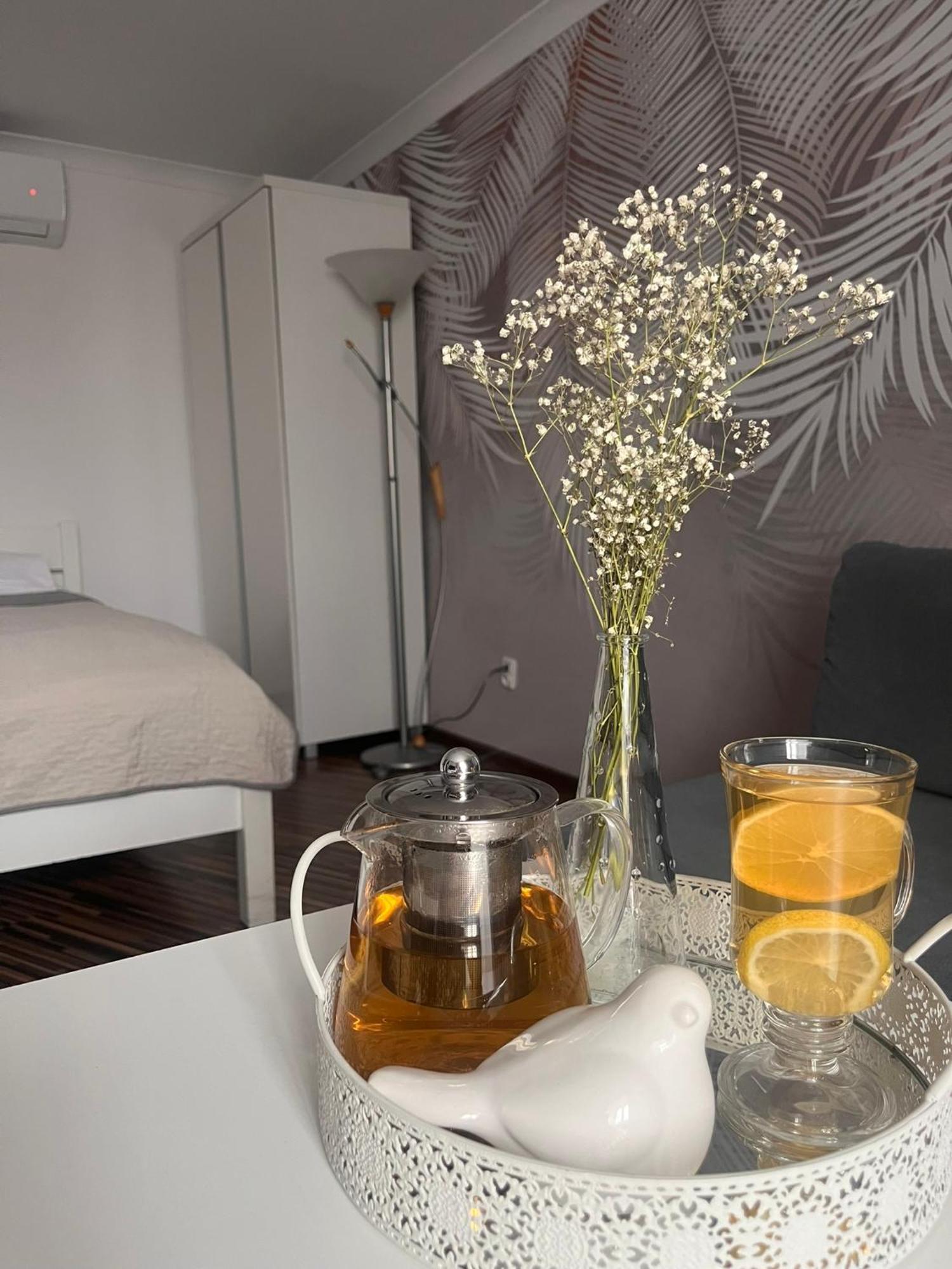 Apartament Na Starowce VII بيشتنا المظهر الخارجي الصورة